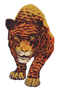 P&M logo